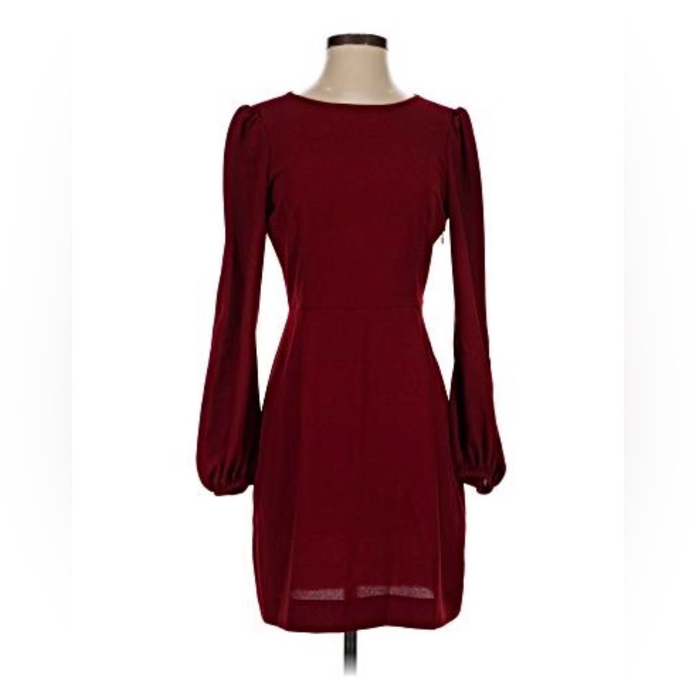 Zara burgundy Long Sleeve Dress